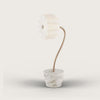 FLOW - Design Pepe Fornas - Tischleuchte - Aromas del Campo