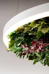 GAVIN SILENCE LEAF runde LED-Pendelleuchte - designed by OLEV Design Lab