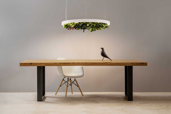 GAVIN SILENCE LEAF schallabsorbierende, runde LED-Pendelleuchte ...